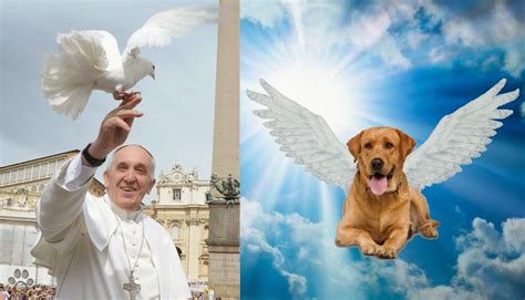 cielo de los animales 2025