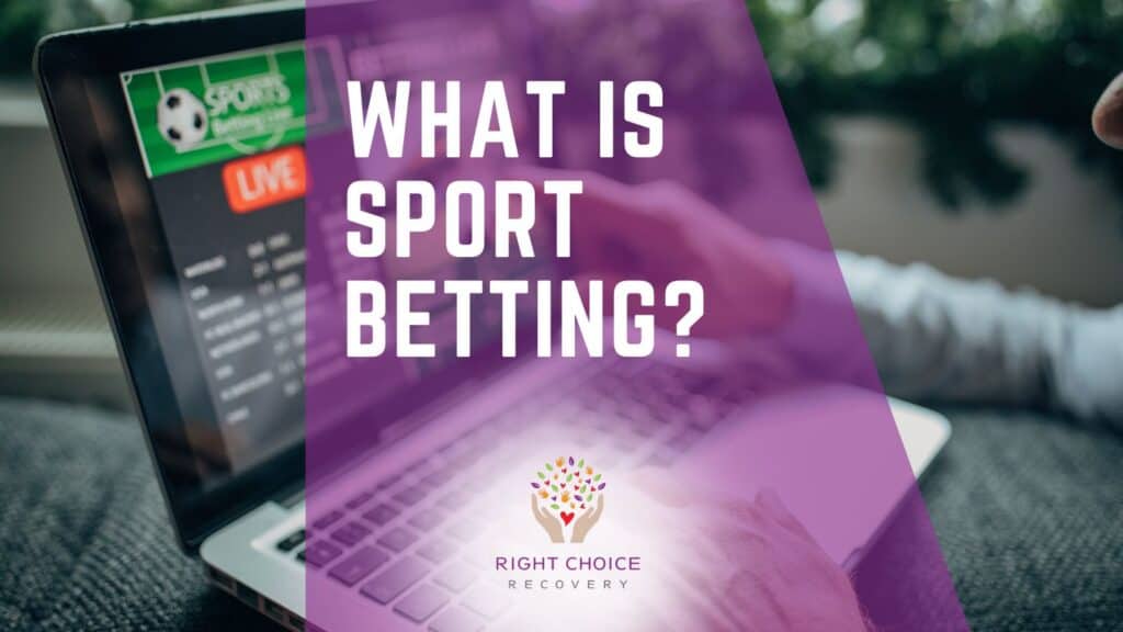 Exploring Bookies With Daily Prediction Challenges