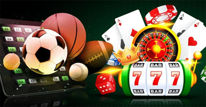 Exploring Bookies With Daily Prediction Challenges