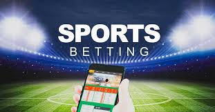 Exploring Bookies With Daily Prediction Challenges